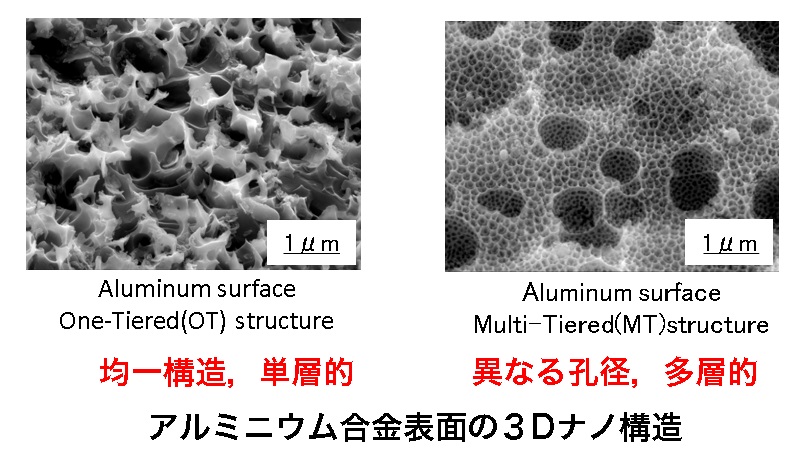 3Dナノ界面を有する異種材料接合技術