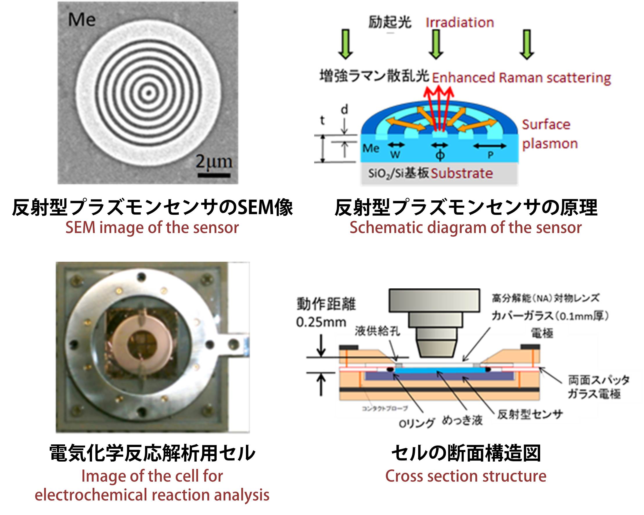 新規なプラズモンセンサ及びラマン分光法を用いた界面計測技術